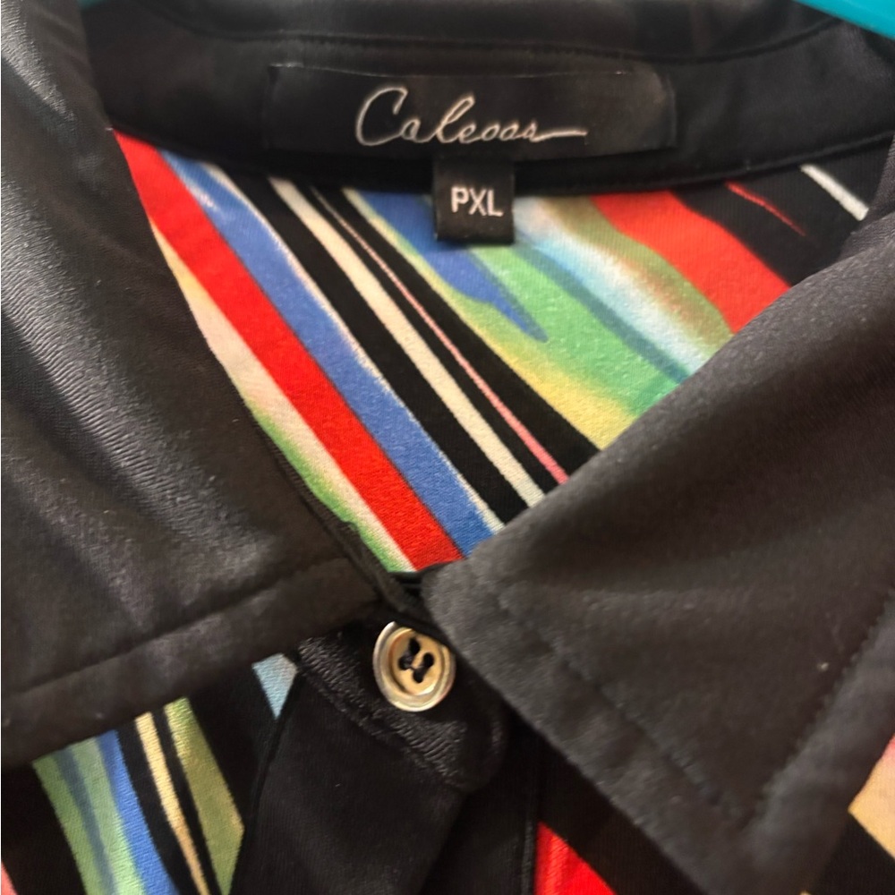 Caleoas Multicolor Striped Button Down Blouse, Fr… - image 3